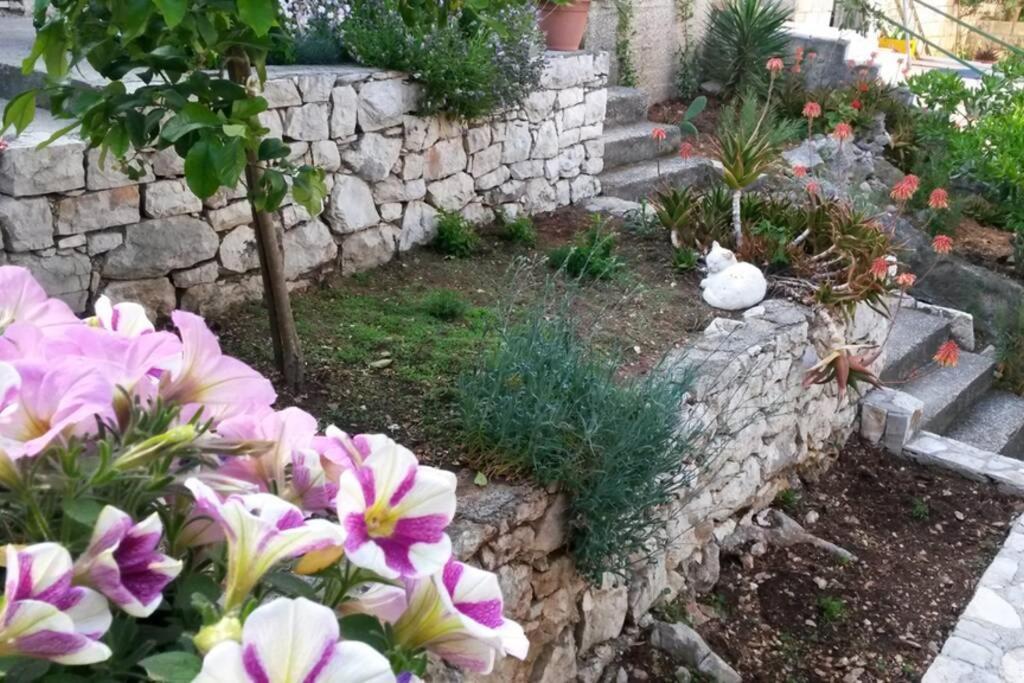 Mljet 2 You - Seafront Apartment 2+2 Sobra Eksteriør bilde